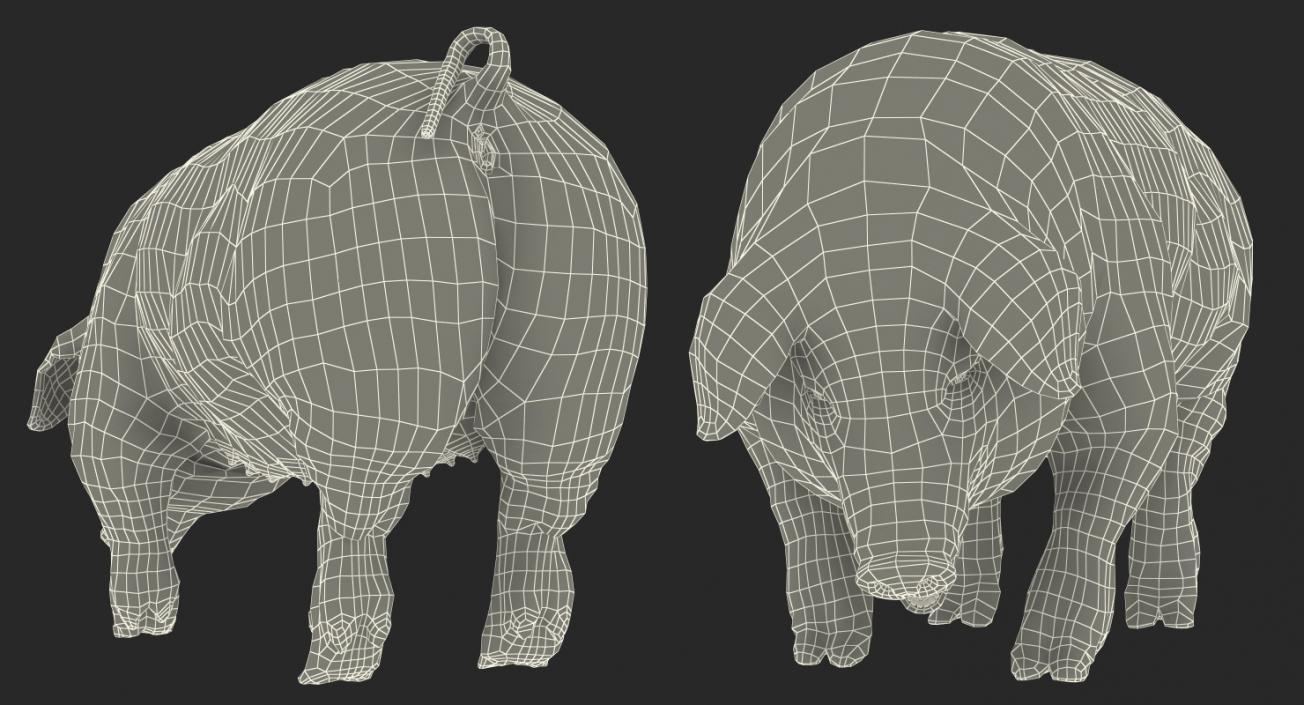 3D model Pig Sow Landrace Standing Pose