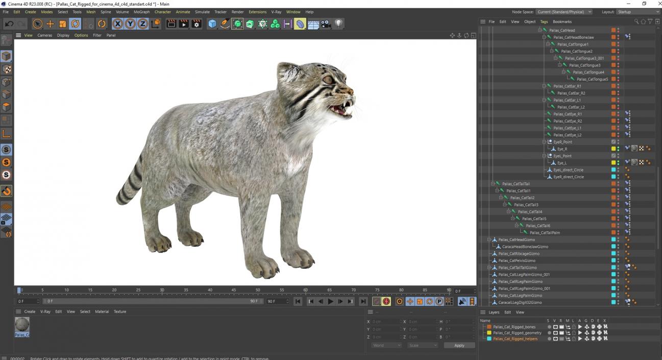 3D Pallas Cat Rigged for Cinema 4D