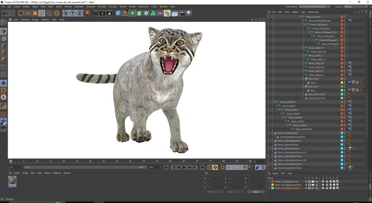 3D Pallas Cat Rigged for Cinema 4D