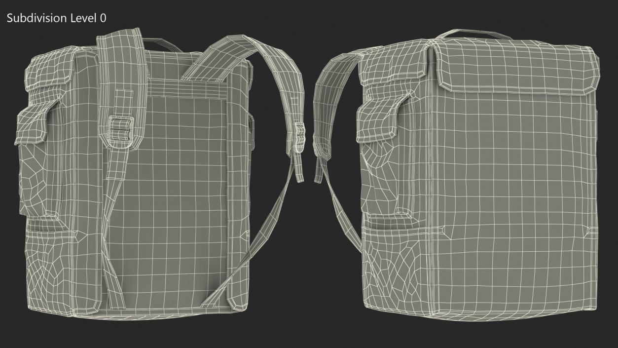 Insulated Food Delivery Bag 3D