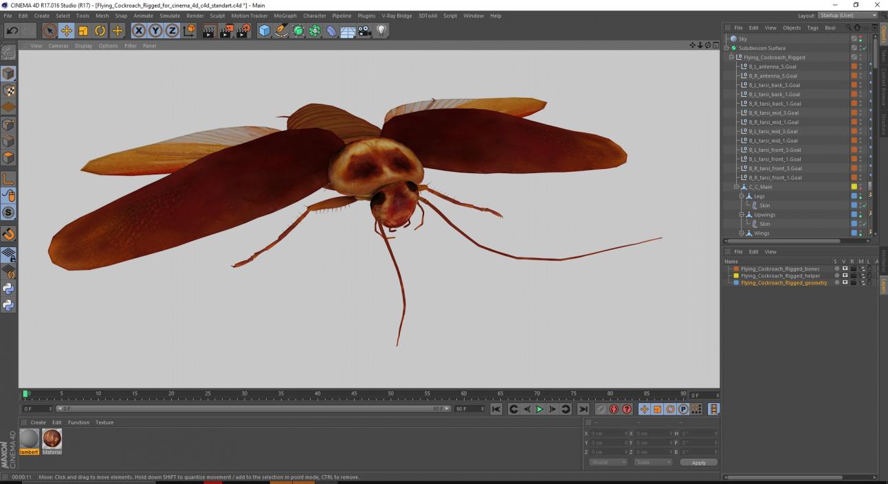 Flying Cockroach Rigged for Cinema 4D 3D