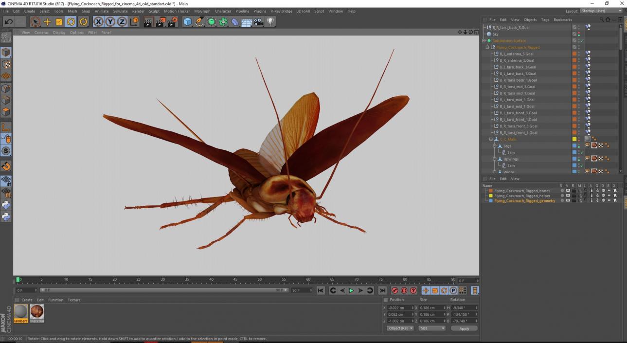 Flying Cockroach Rigged for Cinema 4D 3D