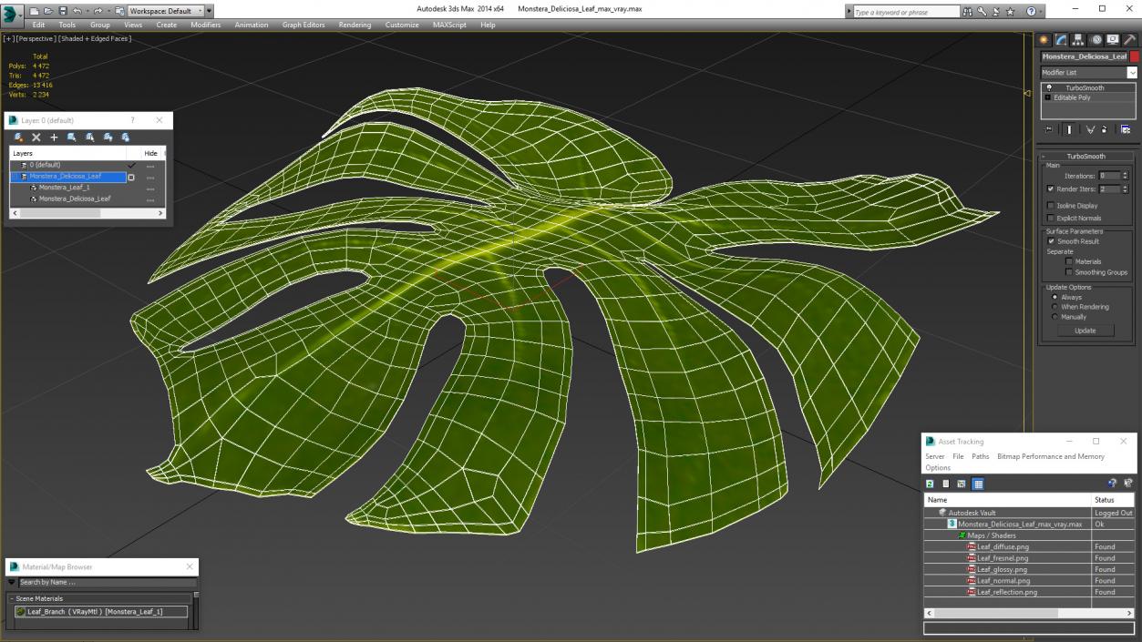 3D Monstera Deliciosa Leaf model