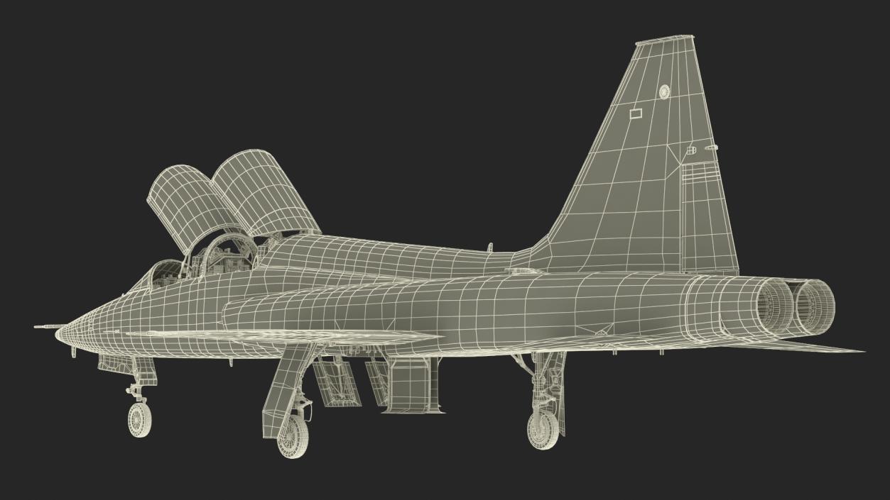 3D Military T-38 Talon Jet Trainer Camo