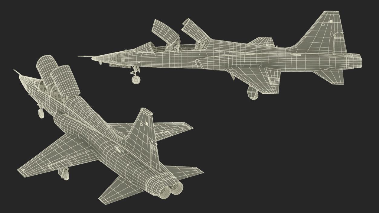 3D Military T-38 Talon Jet Trainer Camo