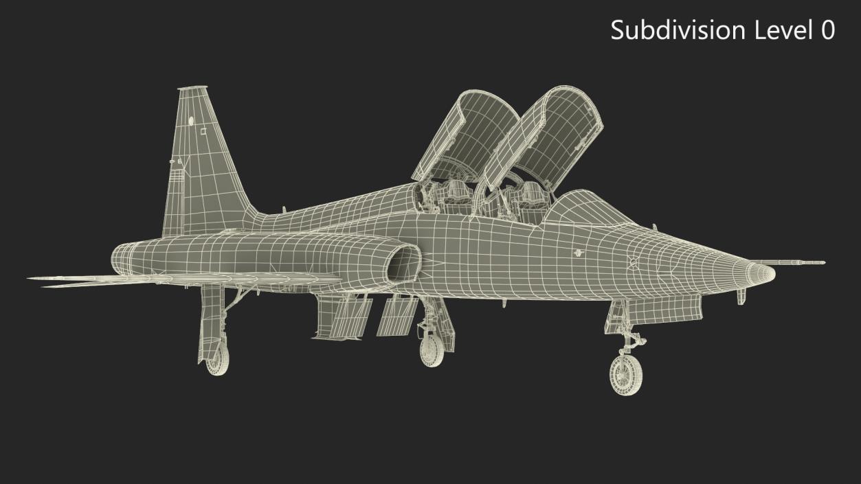 3D Military T-38 Talon Jet Trainer Camo