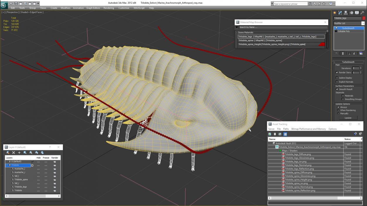 Trilobite Extinct Marine Arachnomorph Arthropod 3D