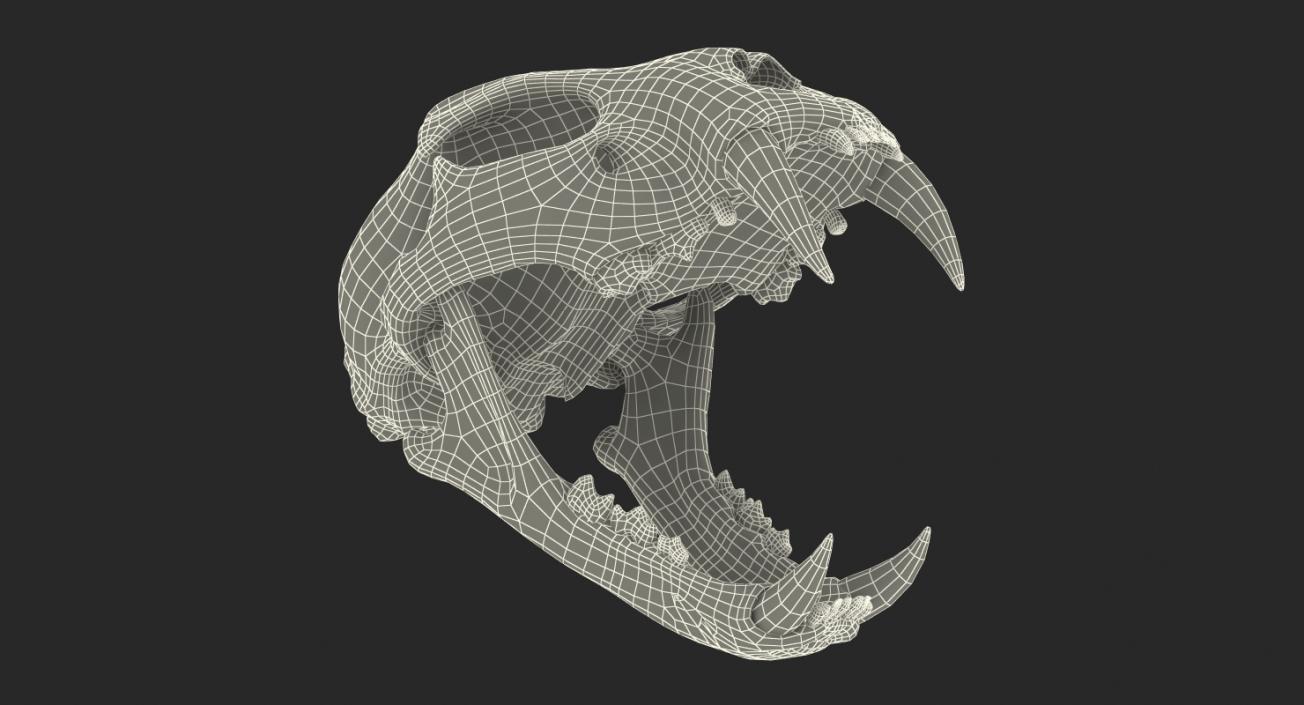 Skulls 3D Models Collection 2 3D model