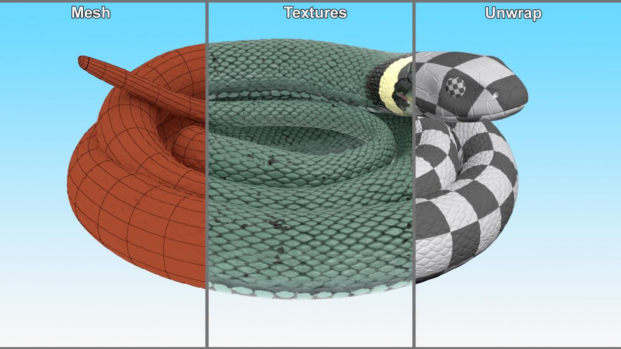 Ringed Snake Green Coiled 2 3D