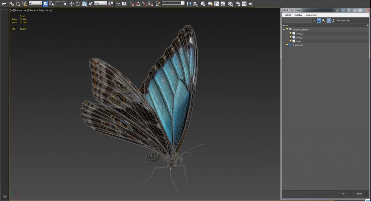 3D model Peleides Blue Morpho Butterfly