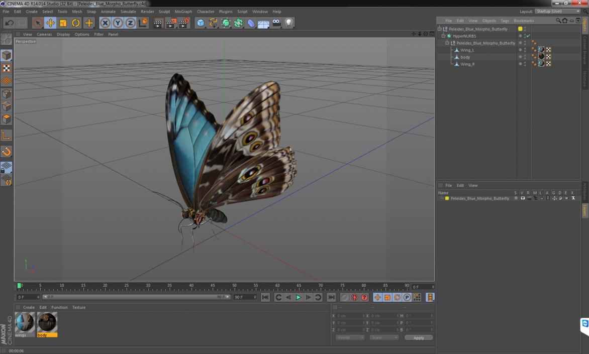 3D model Peleides Blue Morpho Butterfly