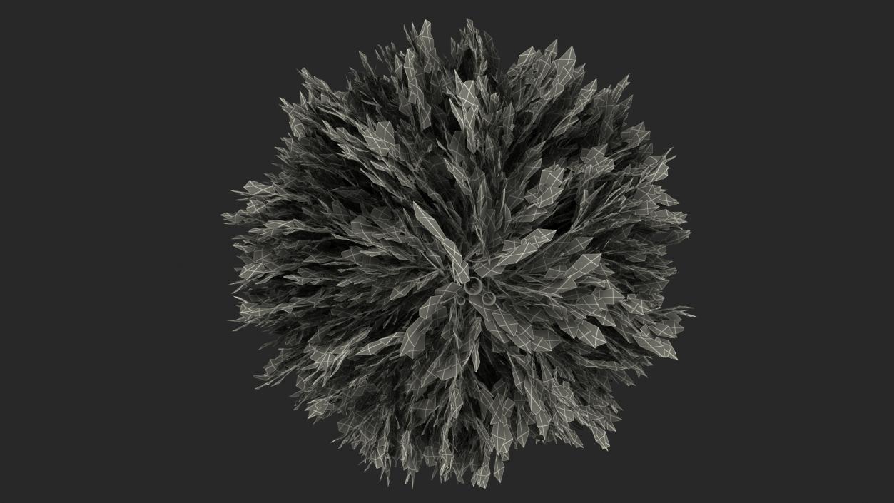 Platycladus Spherical Shrub 3D