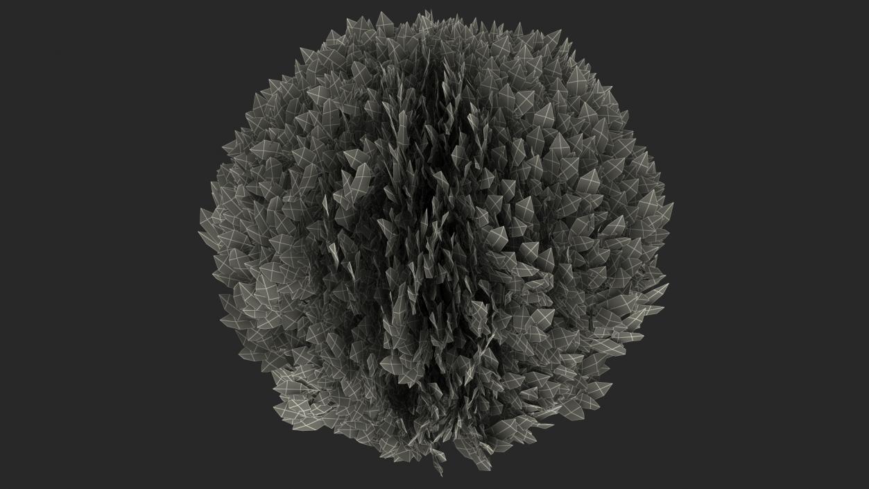 Platycladus Spherical Shrub 3D