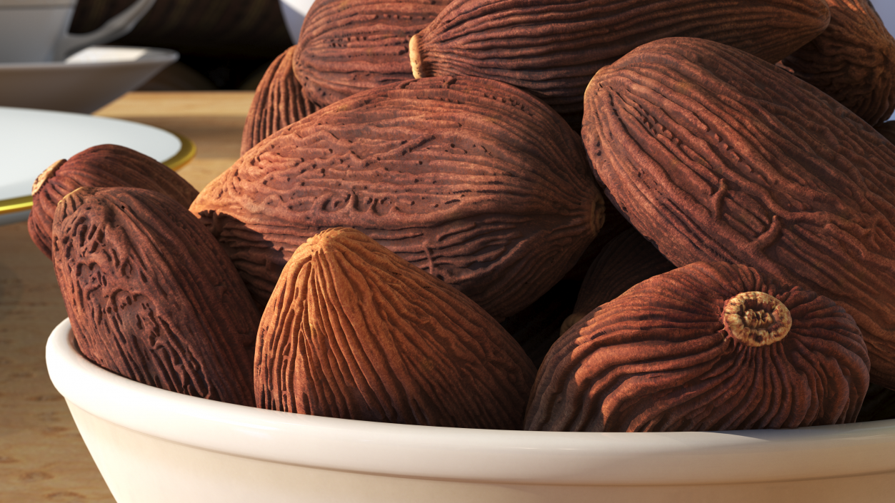 Dried Black Cardamom Fruit Plate 3D