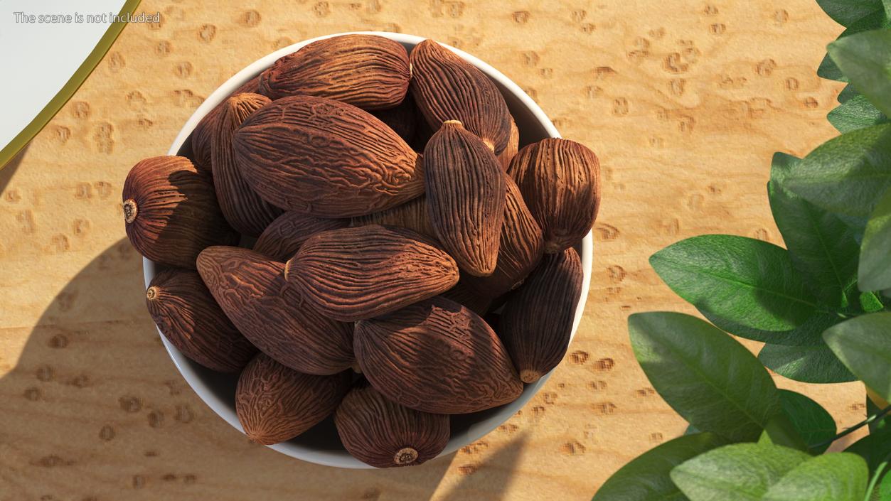 Dried Black Cardamom Fruit Plate 3D