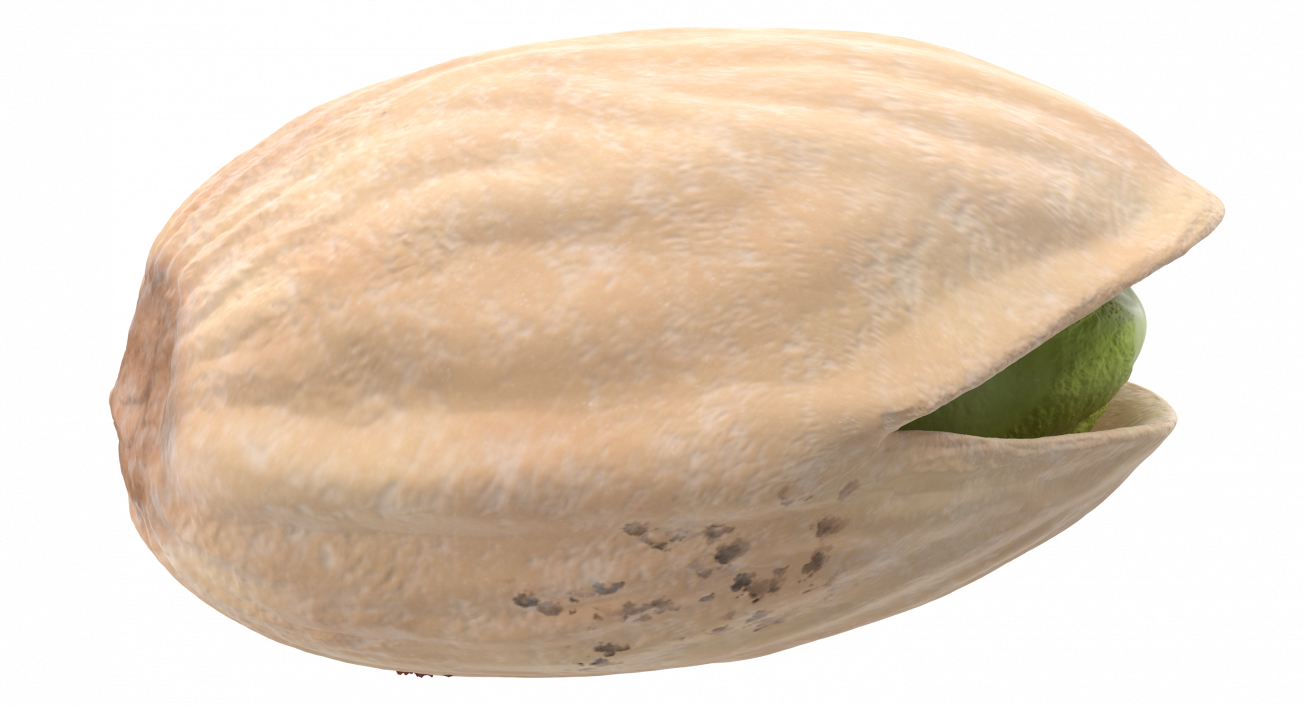 Roasted Opened Pistachio 3D model