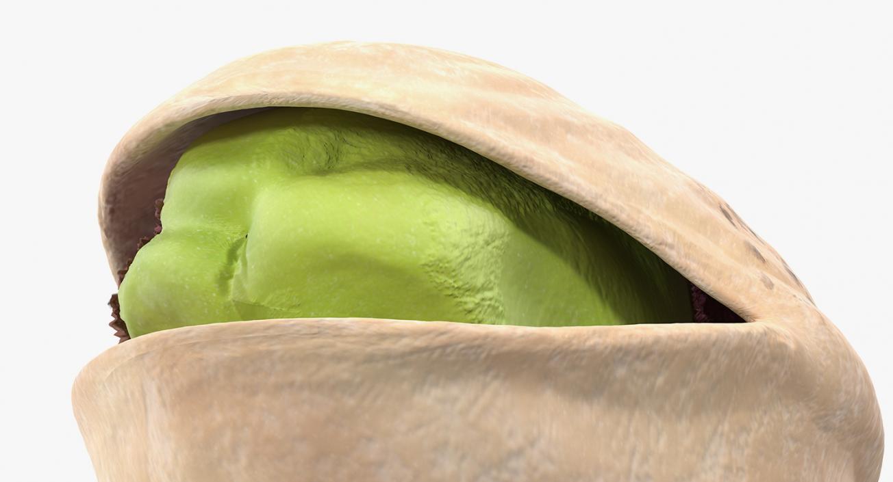 Roasted Opened Pistachio 3D model