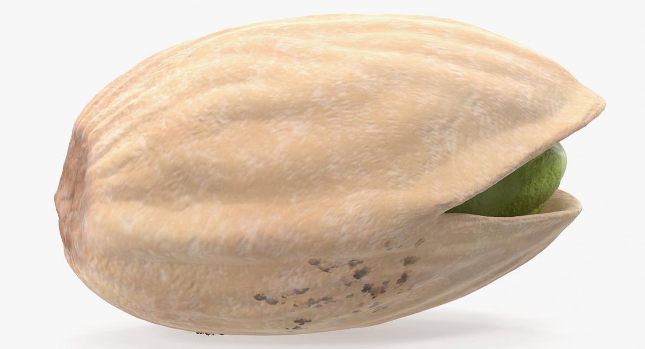 Roasted Opened Pistachio 3D model