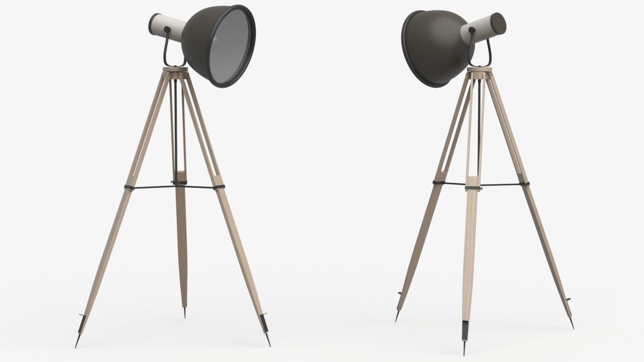 3D model Tripod Floorstanding Lamp