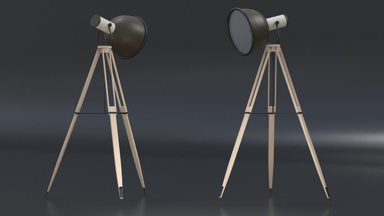 3D model Tripod Floorstanding Lamp