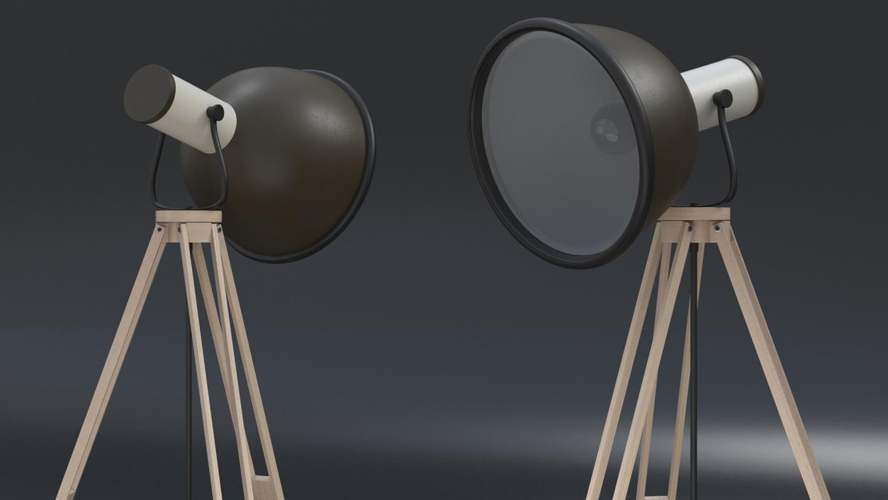 3D model Tripod Floorstanding Lamp