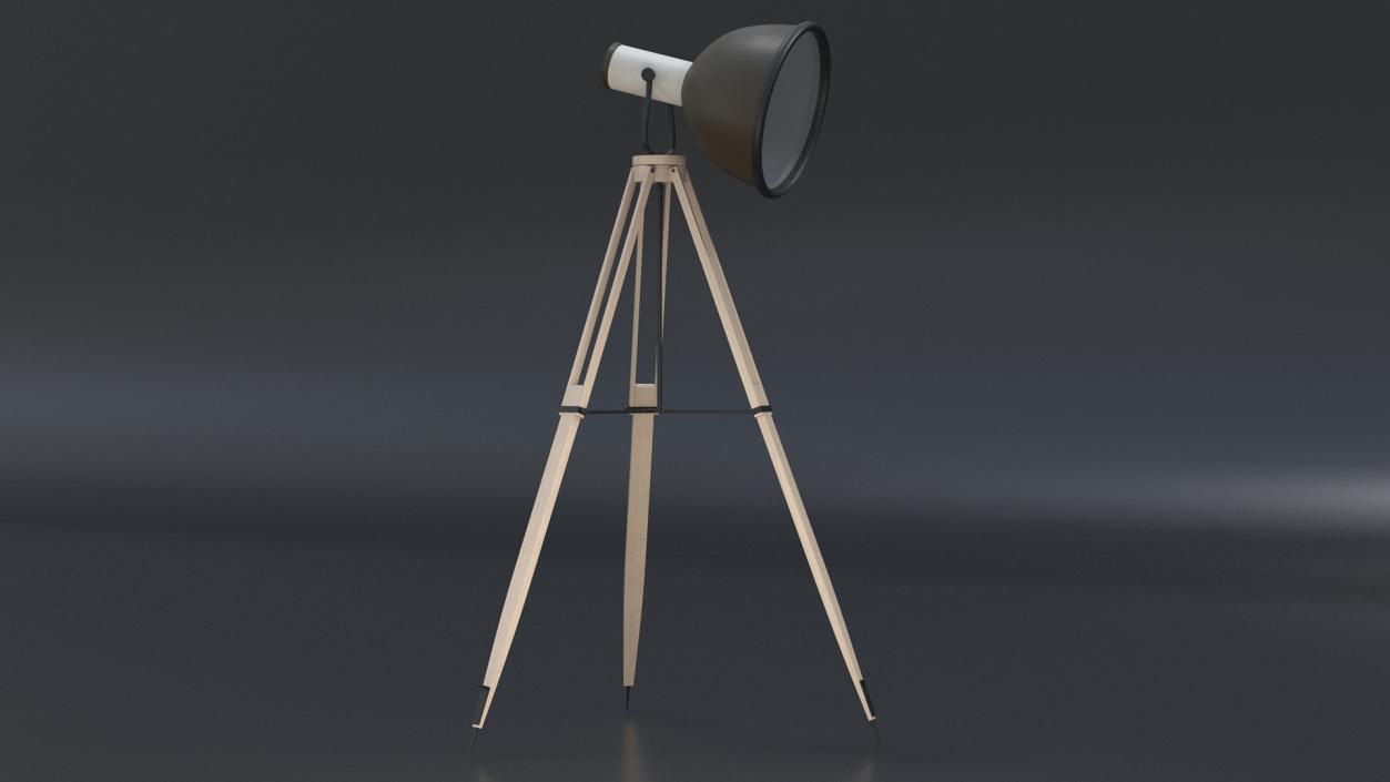 3D model Tripod Floorstanding Lamp