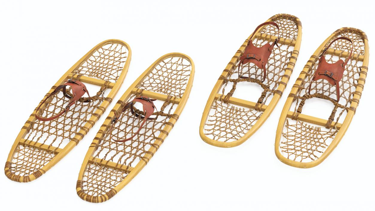 Canadian Wood Snowshoes Ready to Wear 3D