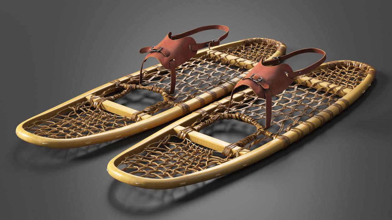 Canadian Wood Snowshoes Ready to Wear 3D