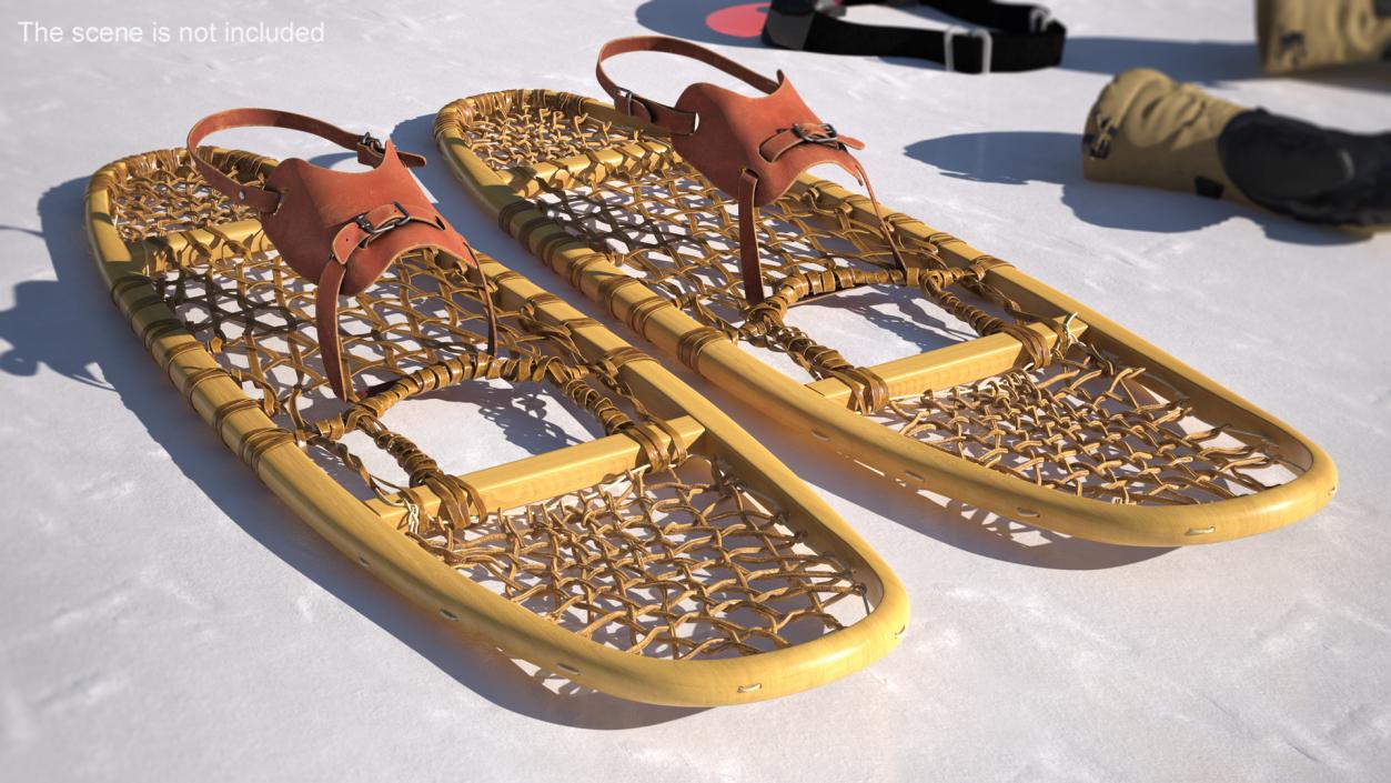 Canadian Wood Snowshoes Ready to Wear 3D