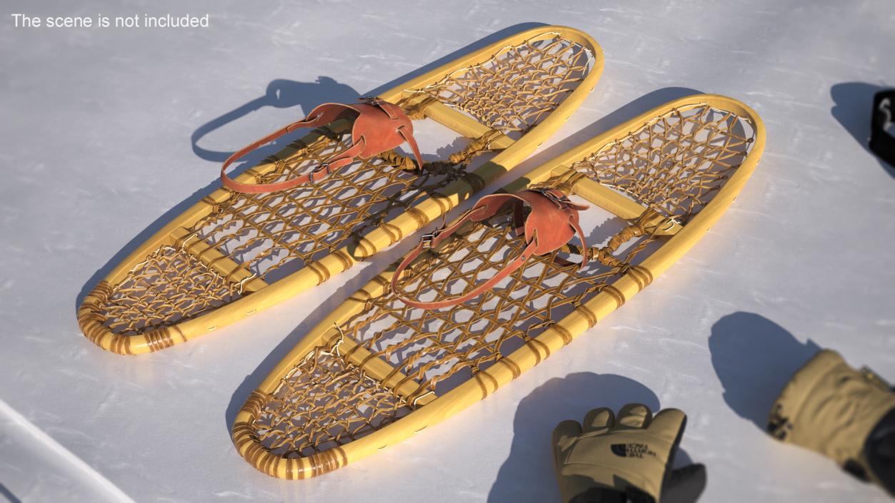 Canadian Wood Snowshoes Ready to Wear 3D