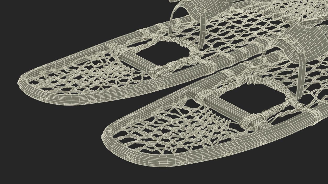 Canadian Wood Snowshoes Ready to Wear 3D