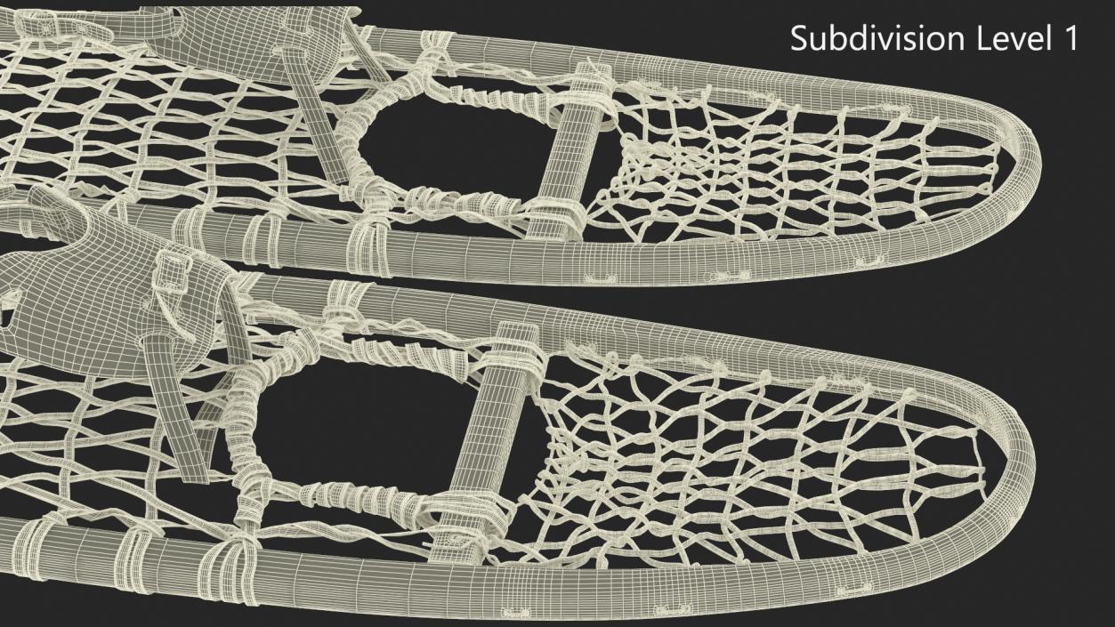 Canadian Wood Snowshoes Ready to Wear 3D