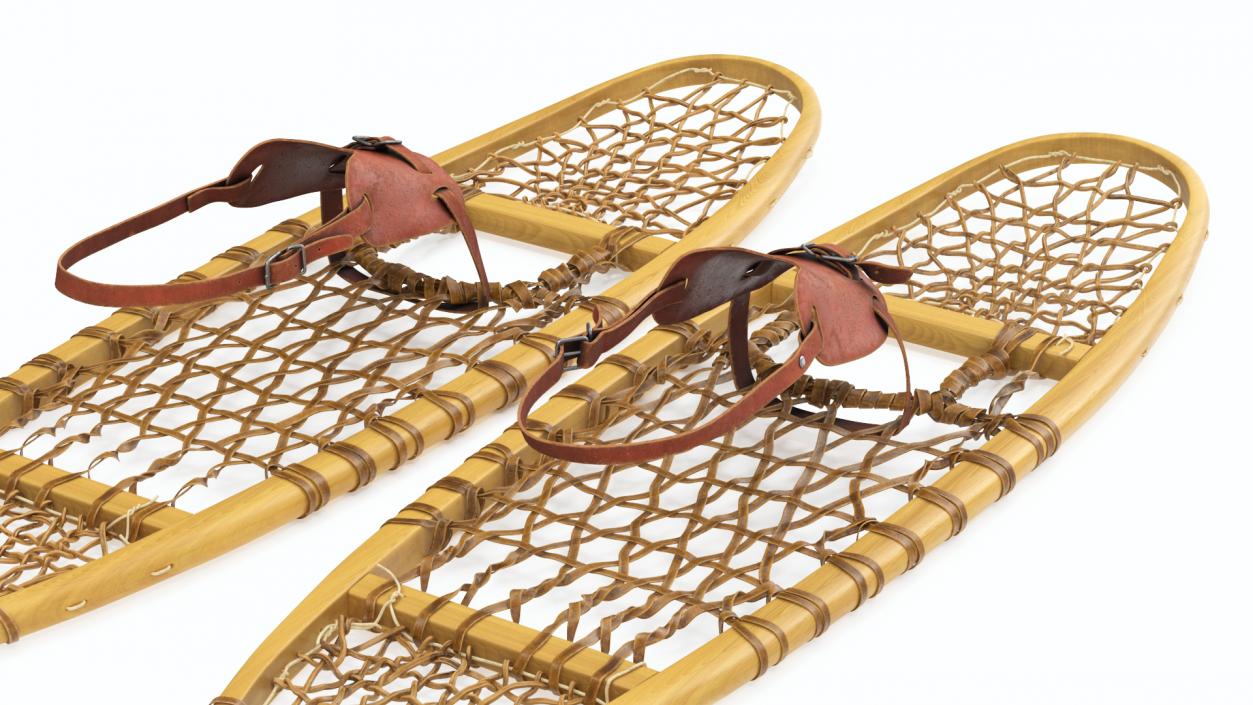 Canadian Wood Snowshoes Ready to Wear 3D