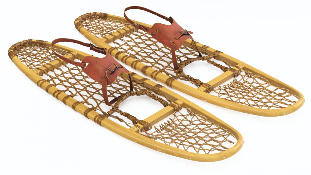 Canadian Wood Snowshoes Ready to Wear 3D