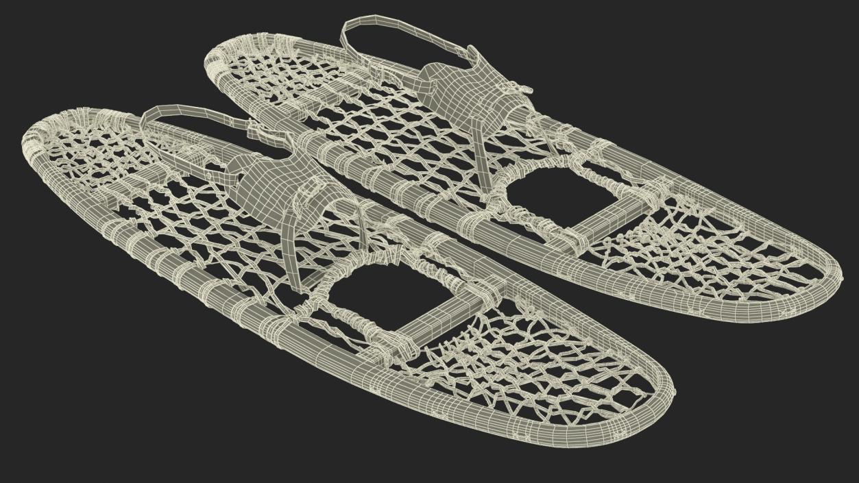 Canadian Wood Snowshoes Ready to Wear 3D