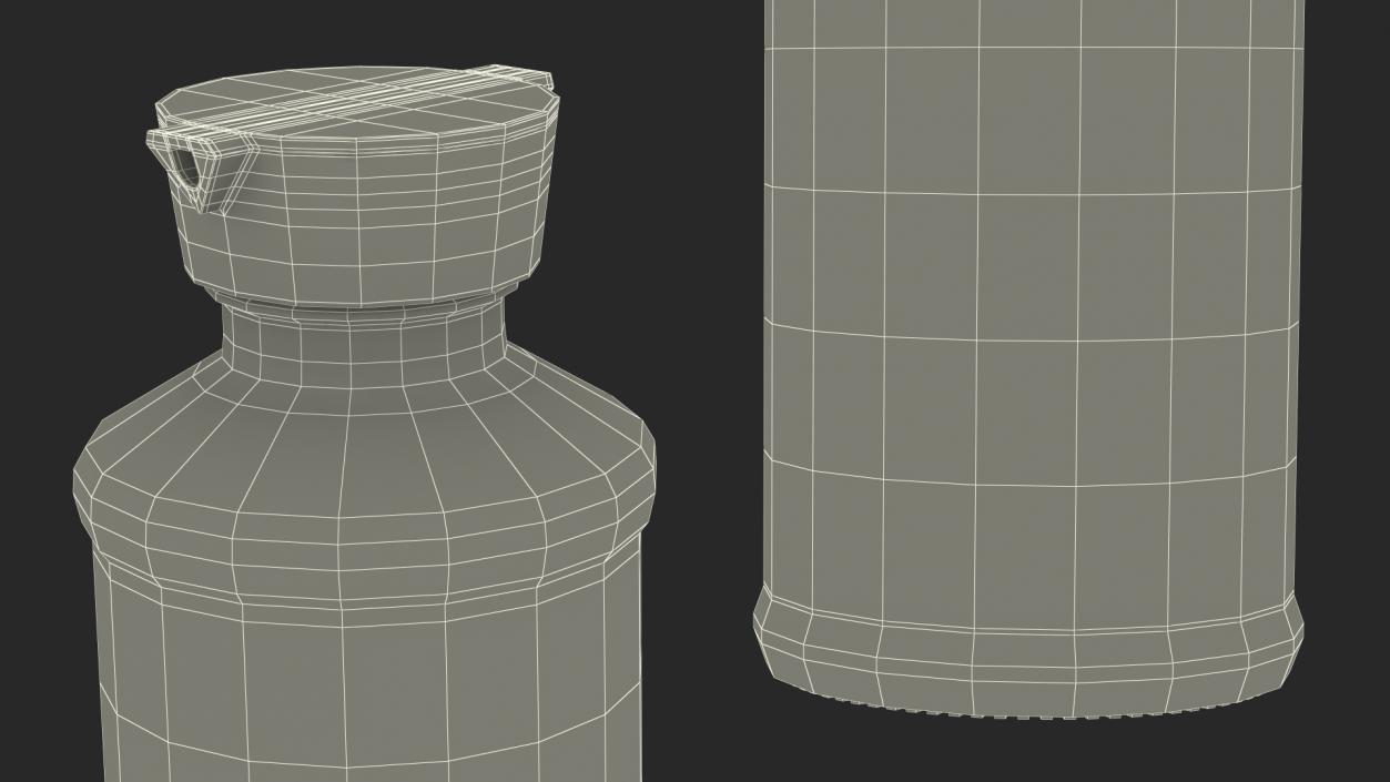 3D Sauce Bottle with Dispenser Empty model