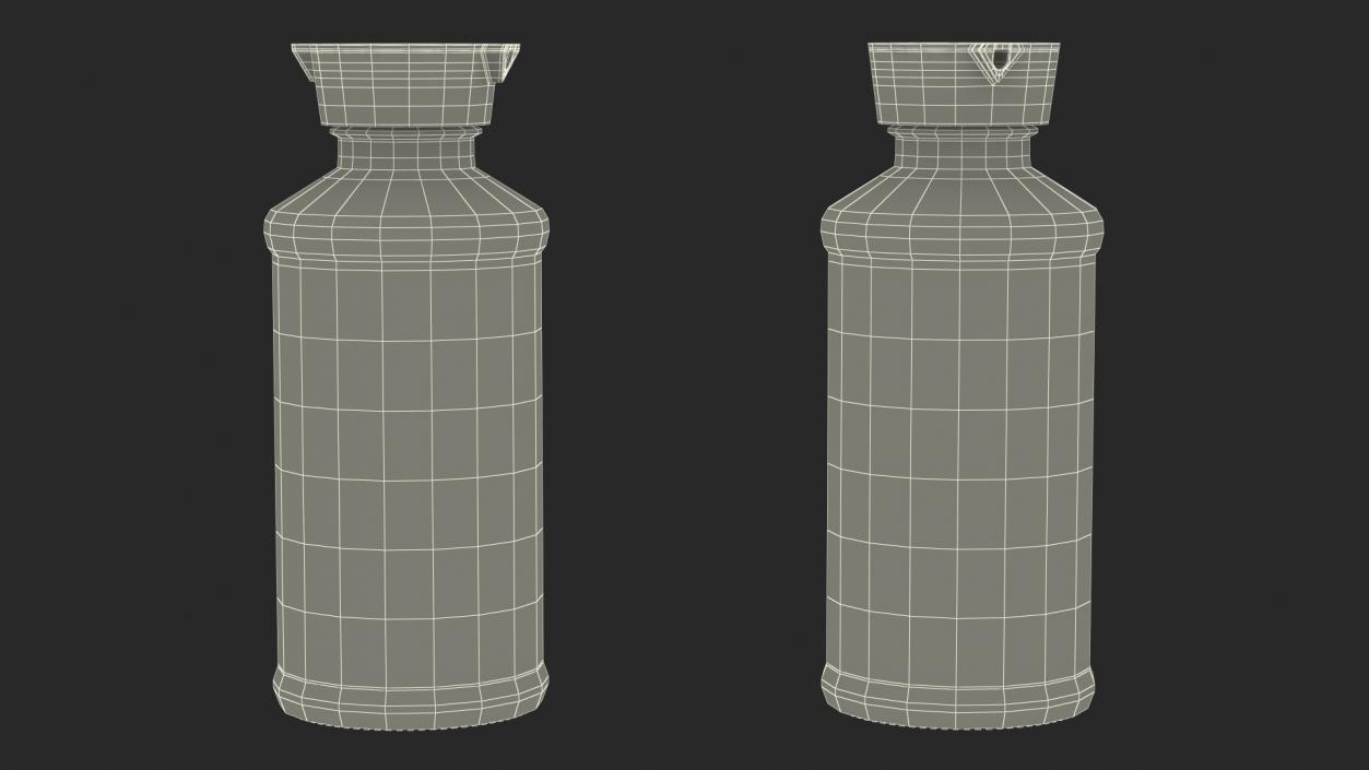 3D Sauce Bottle with Dispenser Empty model