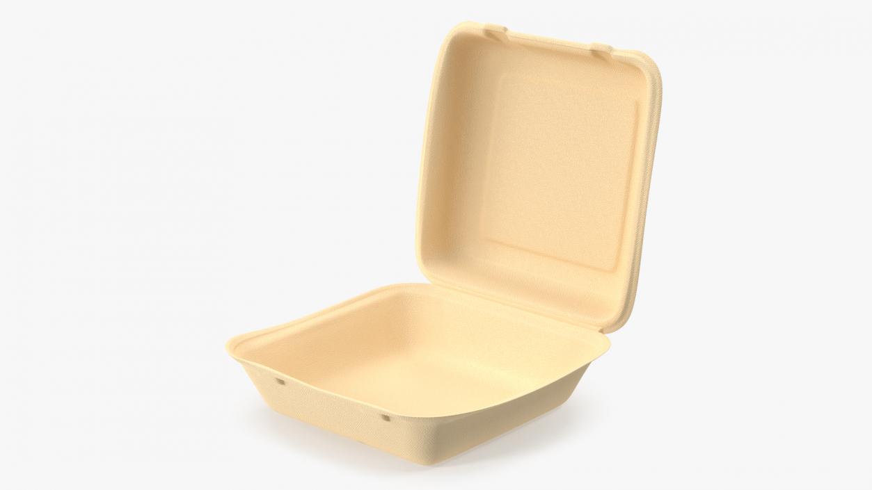 3D Bagasse Food Box