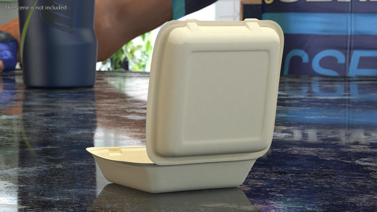 3D Bagasse Food Box