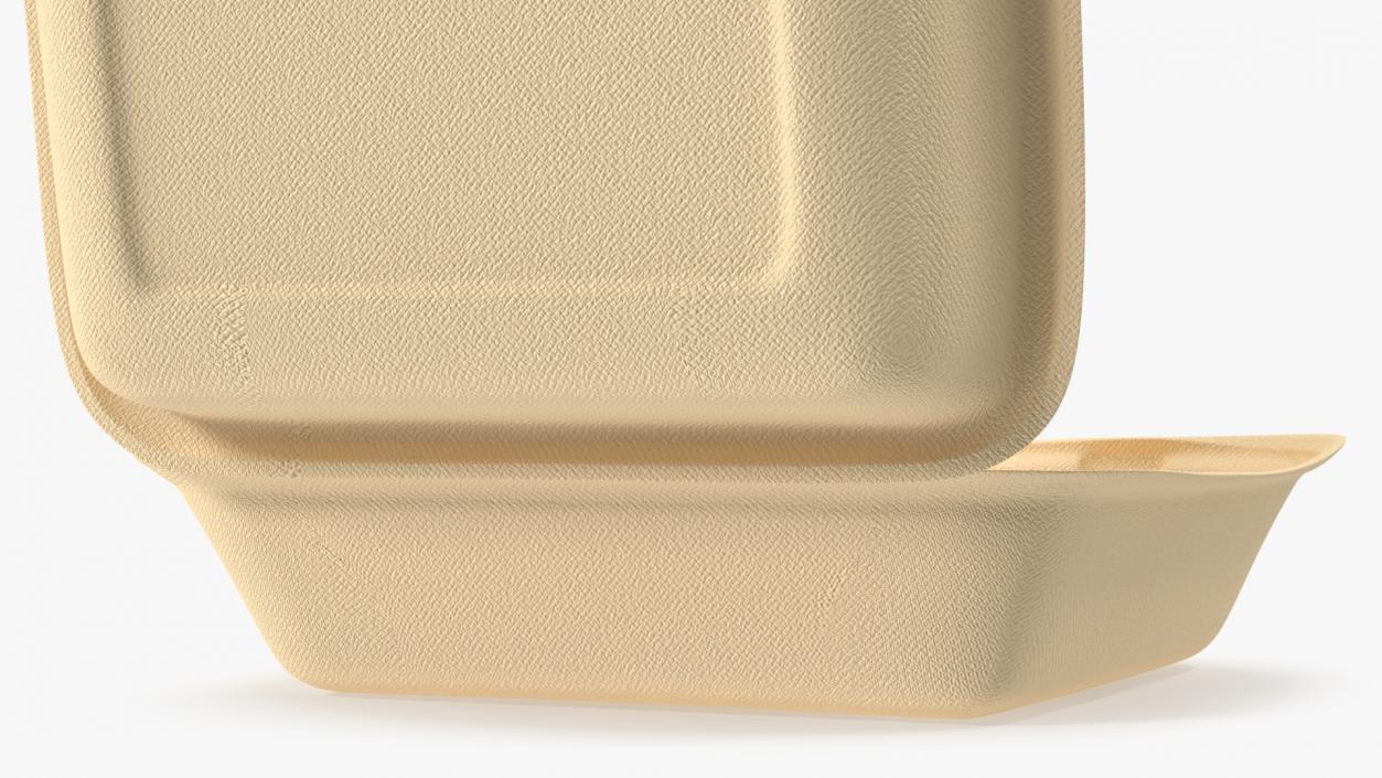 3D Bagasse Food Box