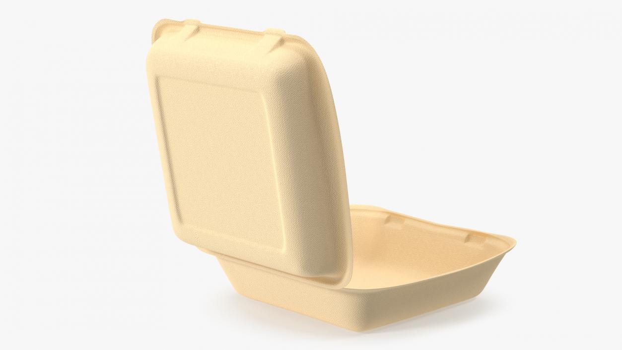 3D Bagasse Food Box