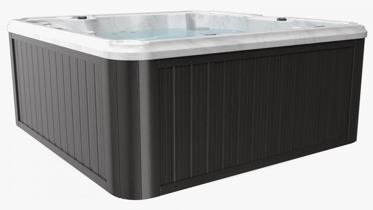 3D Hot Tub with Water model