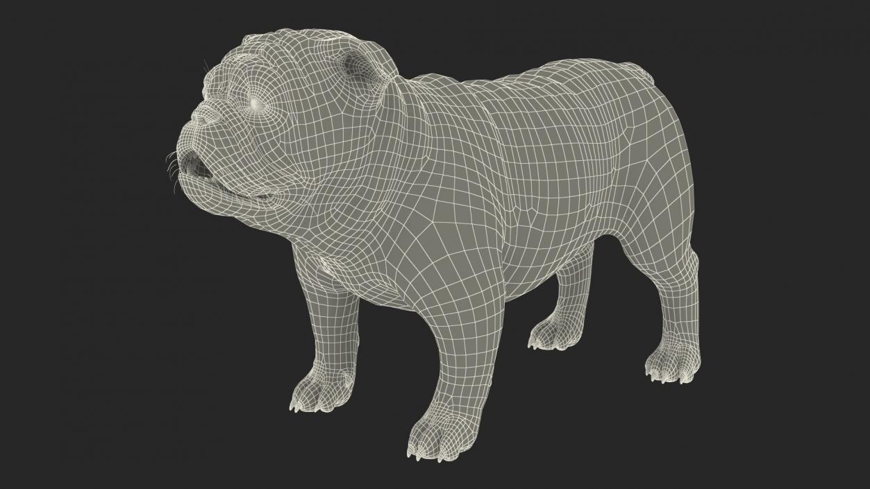 Dogs Collection 6 3D