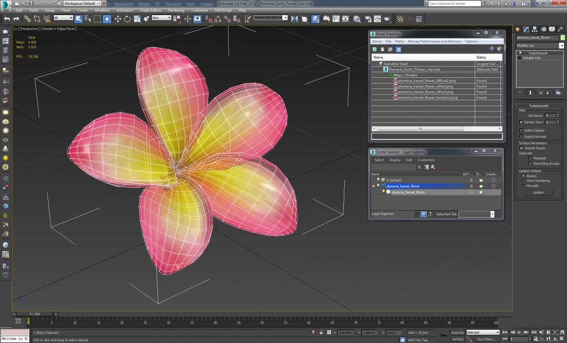 Plumeria Exotic Flower 3D