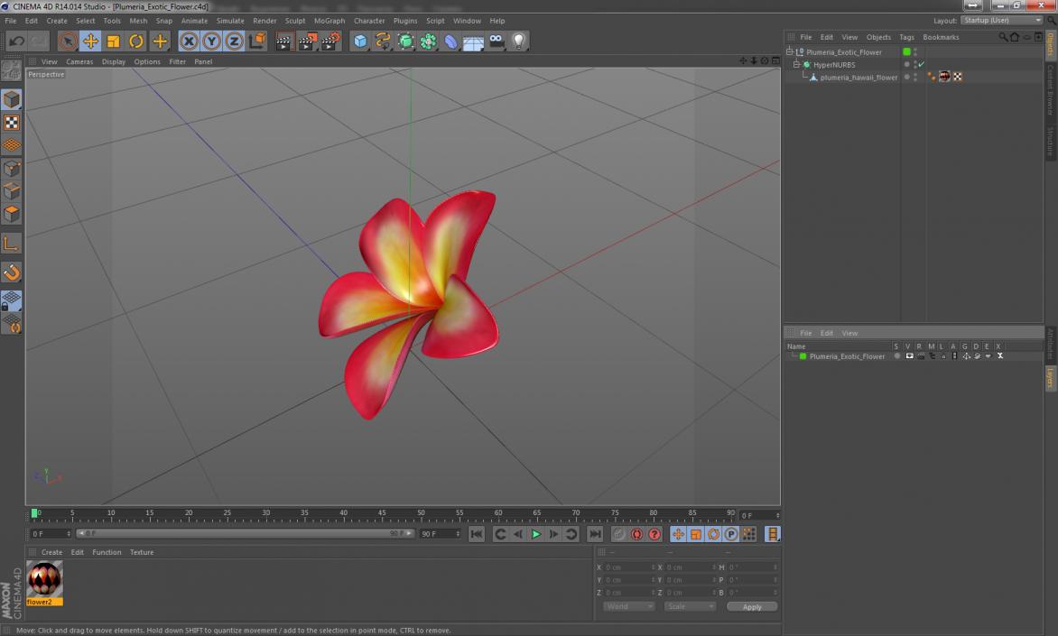 Plumeria Exotic Flower 3D