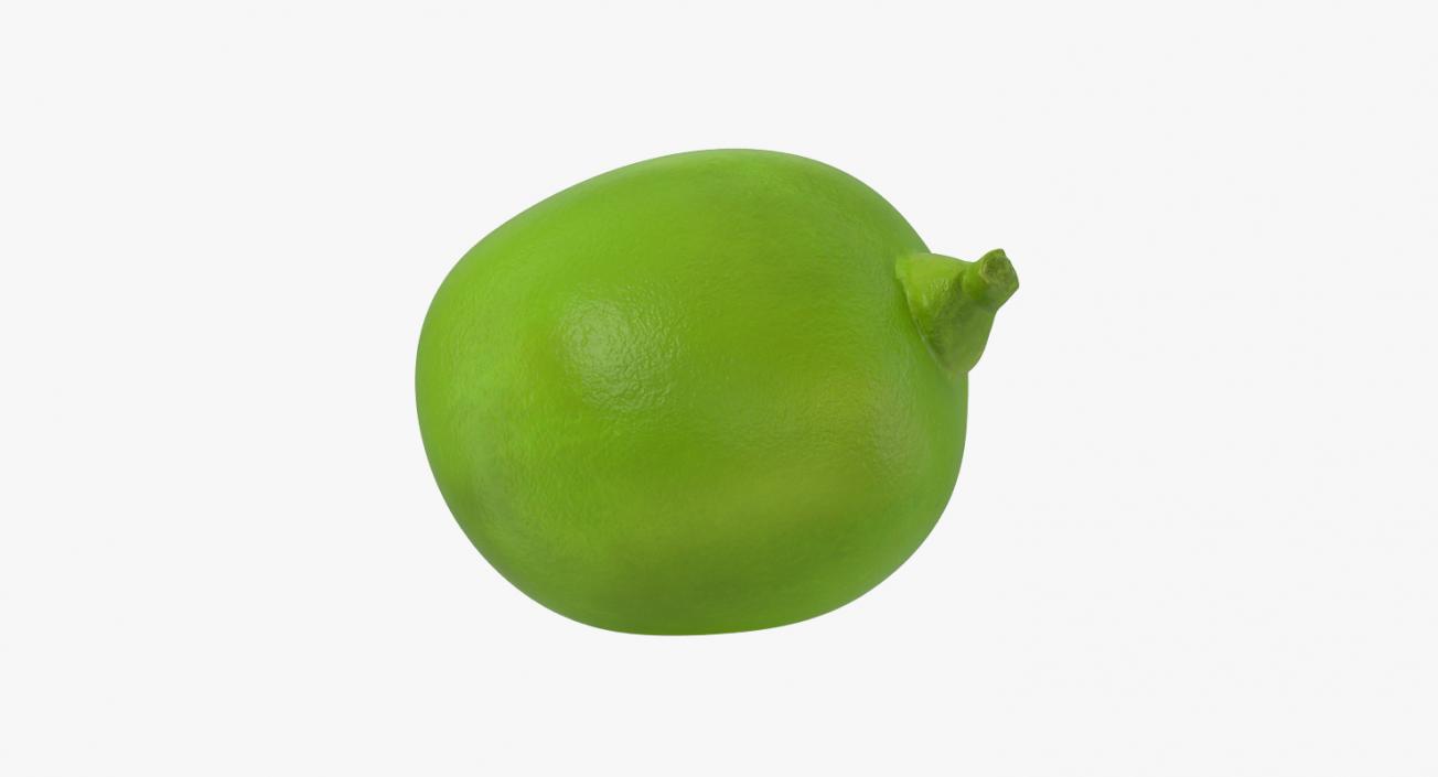 3D Single Green Pea