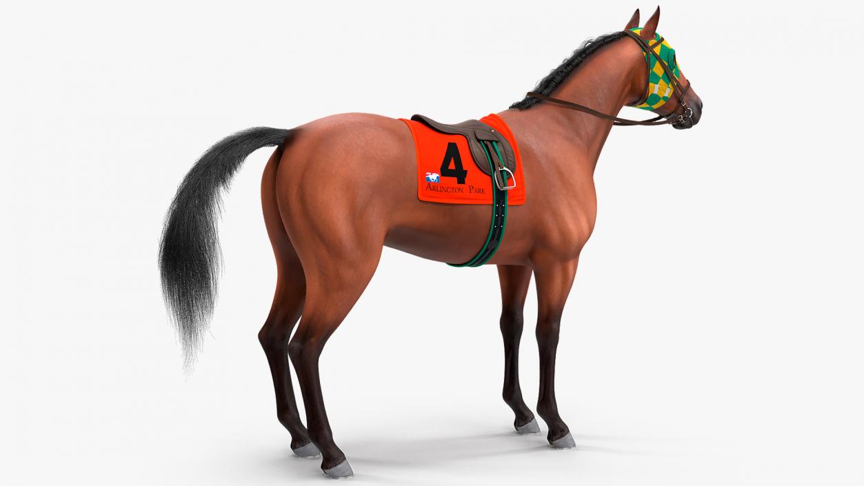 3D model Bay Racing Horse Fur