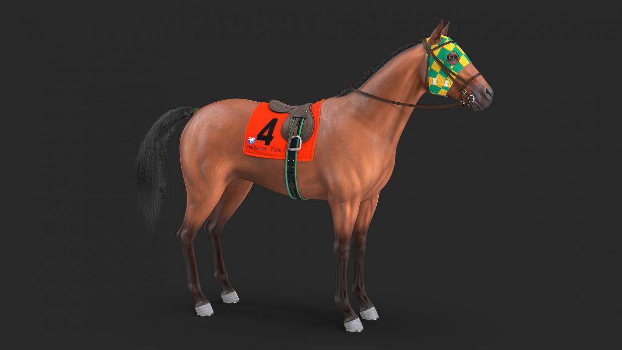 3D model Bay Racing Horse Fur