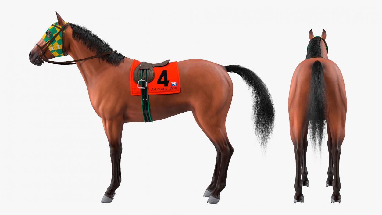 3D model Bay Racing Horse Fur