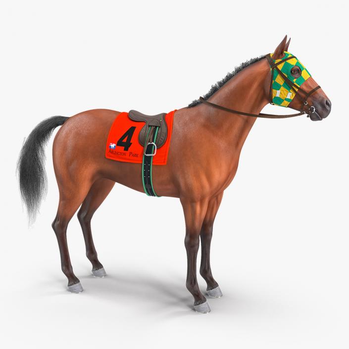 3D model Bay Racing Horse Fur